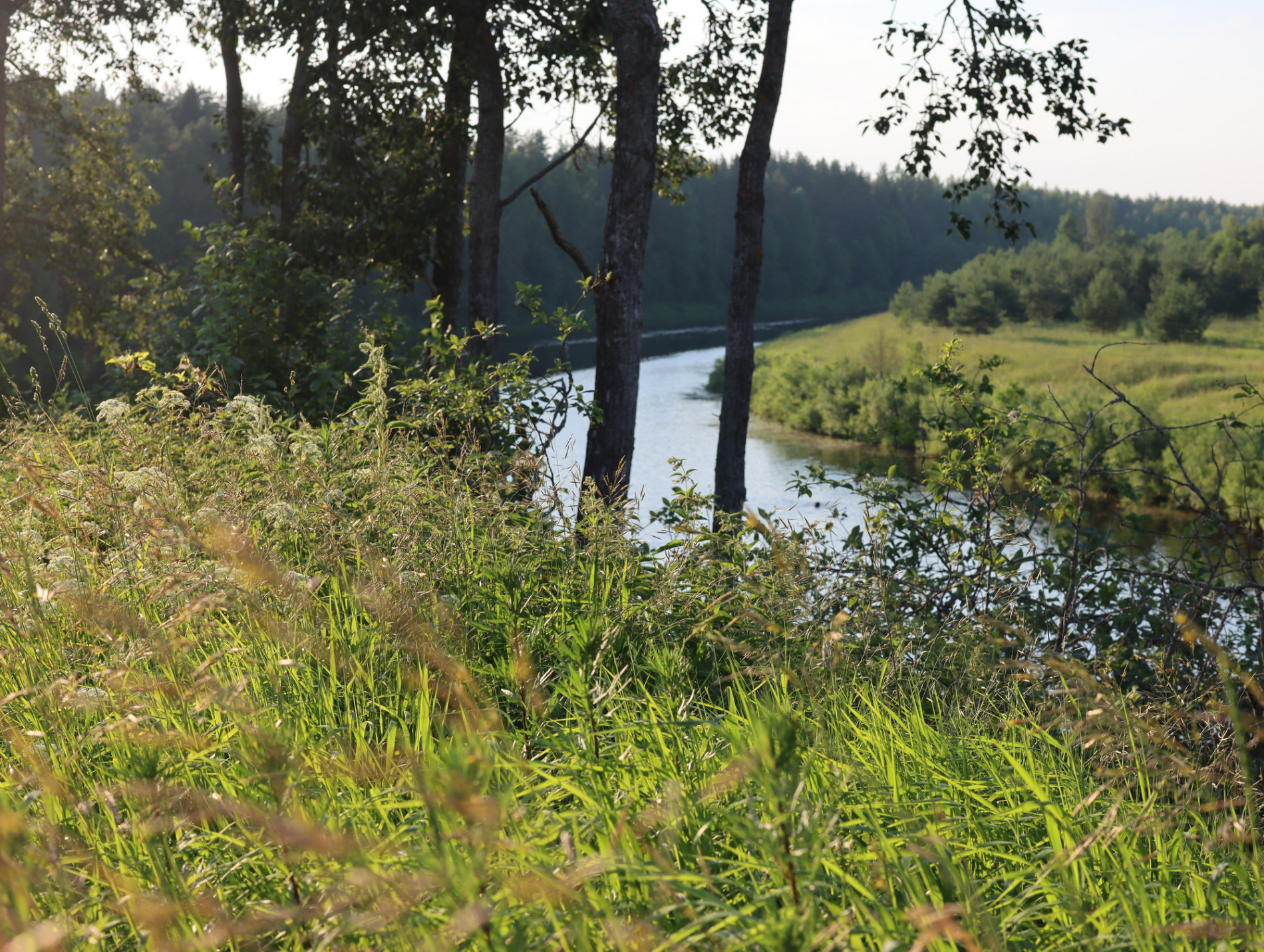Река Андога у Свято-Троицкого Филиппо-Ирапского монастыря